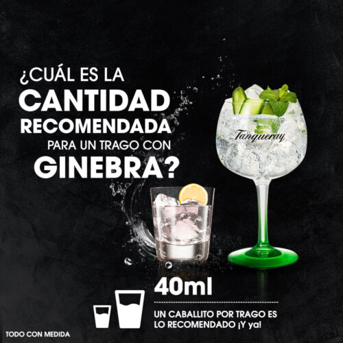 Ginebra Tanqueray London Gin 750 ml. PERFECT SERVE