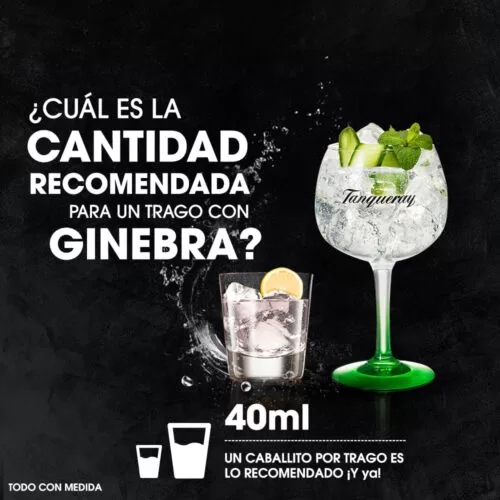 Ginebra Tanqueray London Gin 750 ml. + Copa 7 Ginebra Tanqueray London Gin 750 ml. PERFECT SERVE