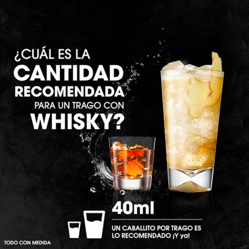12 Whisky Buchanans 12 Años 750 ml. + Whisky Buchanans 12 Años 750 ml. + Whisky Buchanans Pineapple 750 ml. 7 Whisky Buchanans 12 Años 750 ml.