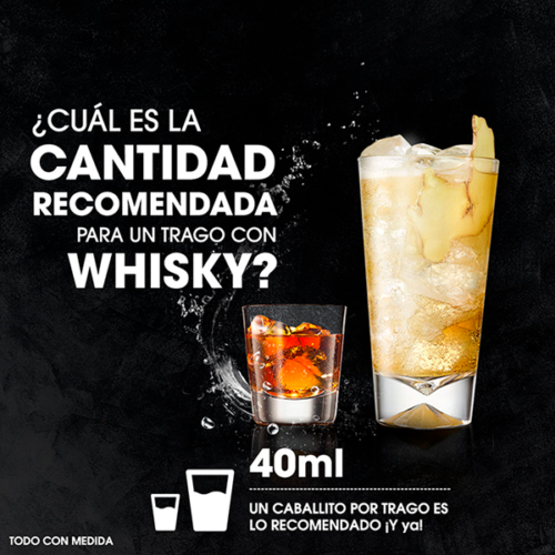 Whisky Buchanans 12 Años 375 ml.