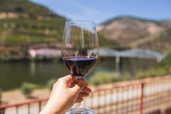 vino tinto guia de vino
