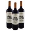 3x2 VINO TINTO LAS CONDES RESERVA CARMENERE 750 ml.