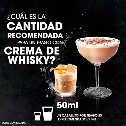 Crema De Whisky Baileys Churros 700 ml. 7 Crema De Whisky Baileys Churros 700 ml. RECETA