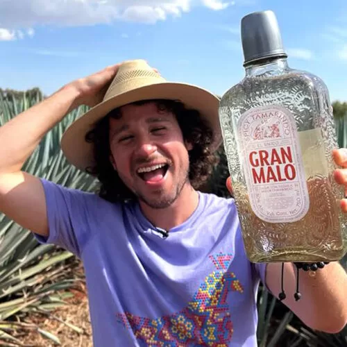 Licor Con Tequila Gran Malo Tamarindo 750 ml. 3 Licor Con Tequila Gran Malo Tamarindo 750 ml. - Imagen 2