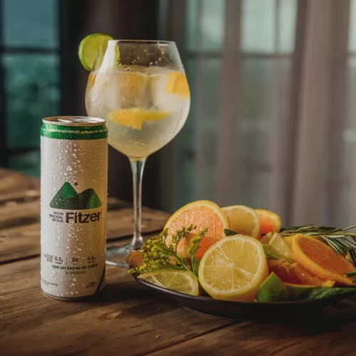 Fitzer Hard Seltzer Citricos 355 ml. 4 Fitzer Hard Seltzer Citricos 355 ml.